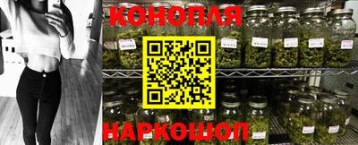 альфа пвп Волгодонск