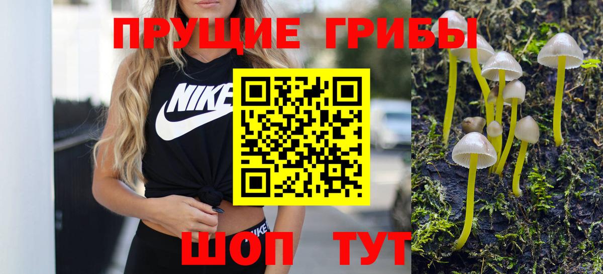 Можга  Псилоцибиновые грибы мицелий  Вход с VPN 